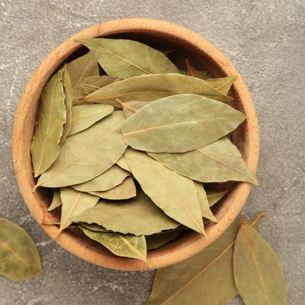 Bay leaf